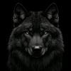 heagrs.711