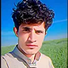 user96069978271794