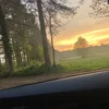 jennifermeeuws0