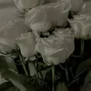 sarah_14_25