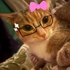.dzulietta2