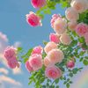 flora.fleur