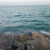 rakib.howloder