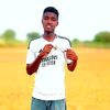 gedo902381