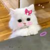 ewr_tabassum_0