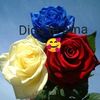 garcia_850860660