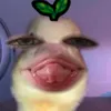 emmaaileen14