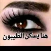 user3541665203328
