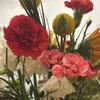 lisadupont343