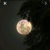 kenzy.mostafa39