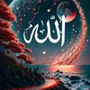user99238524748192