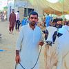 aaahiq.ali.mastoi