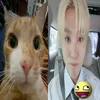 gyudinoverse