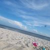 paygehamilton12346