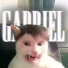 thatgravy.gavy2