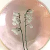 blossomhaze