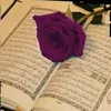 user63033340860202