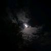 taboos.and.shadows