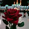 q.sndy