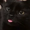 g3rr_0
