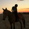 horsesloverrrrr