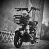 zarz595