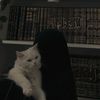 :• اެݪـ⃪ـ⃪ـ⃪شَـ⃪واެقِ🕊️|📜