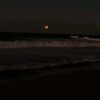 ahmed.mody7241