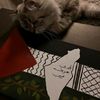 nourin_aboelresh