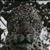notificationproblem5