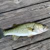thefisherboy23