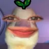 elladump_16