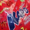 kapo8japones