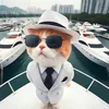 哥吉趣说