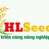 hoanglongseedgrou