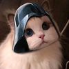 kyyargus