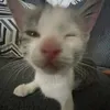 ssamfeeku0u