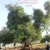 user1117747126949
