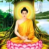 MÂY TỪ BI 🍀