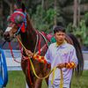 alabid_official.4