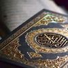 ahmed.king8717