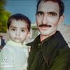 user031611104