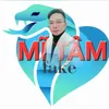 mi.tm.fake.107