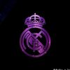 zidan_xyzz1