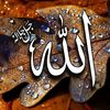 user1459531941290