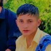 safi15749