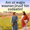 user51585568637804