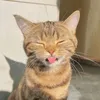 ttj3y