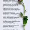 user9020084655534
