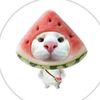 rowrrpiw_piwrowrr